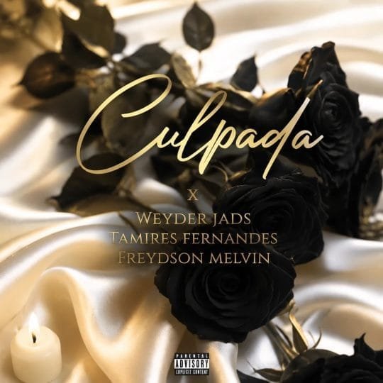 Tamires Fernandes x Weyder Jad’s x Freydson Melvin - Culpada mp3 download 2026
