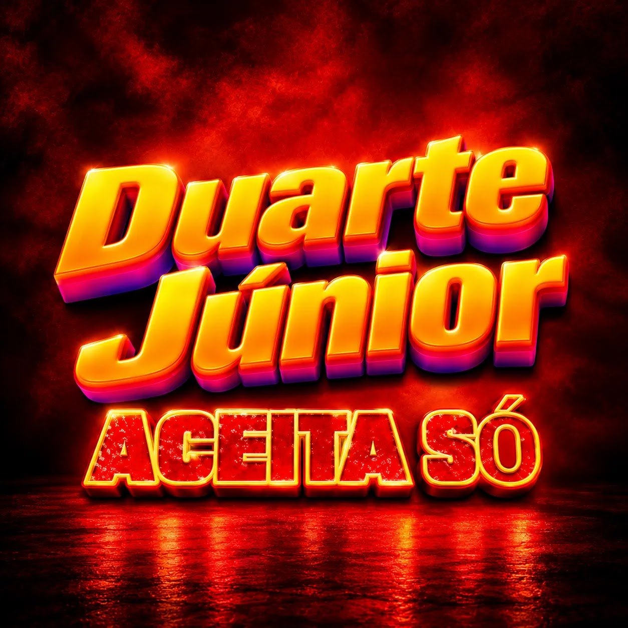 Duarte Júnior - Aceita Só